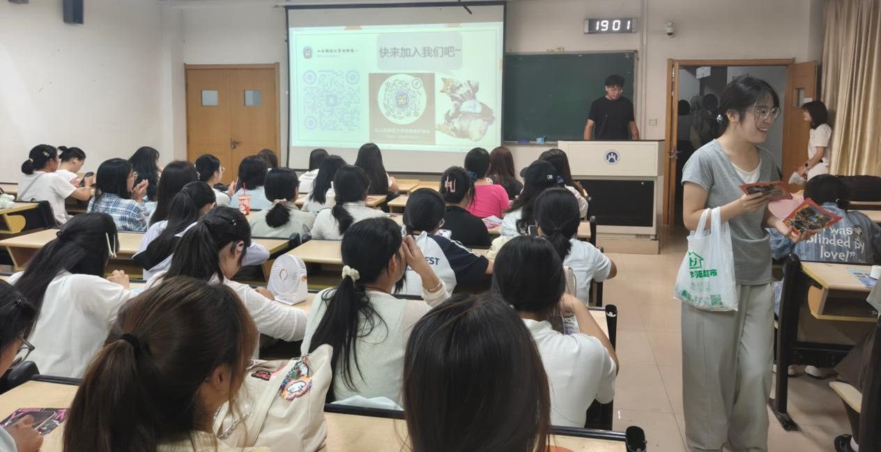 宝宝计划