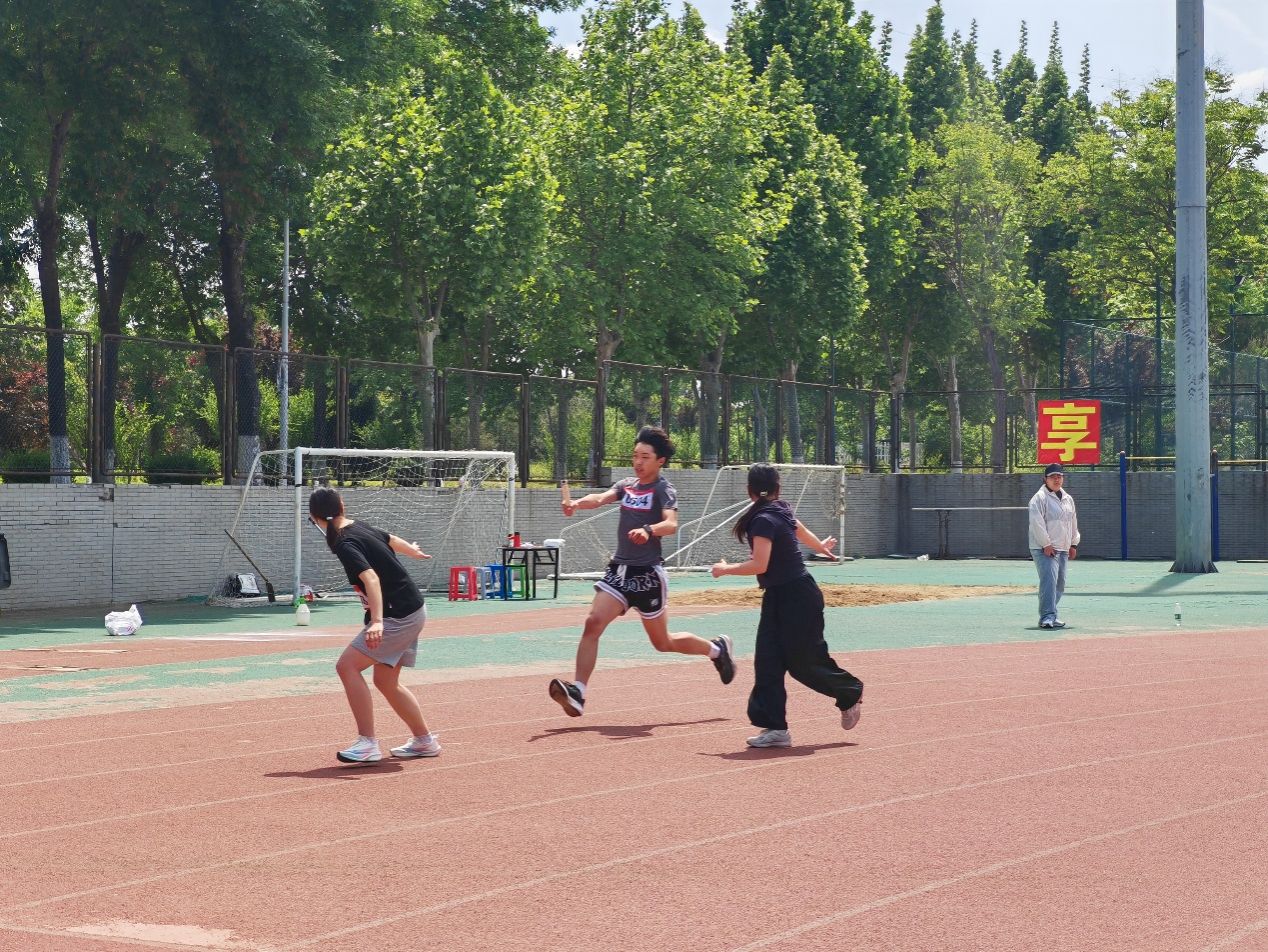 宝宝计划